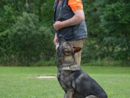 01.07.2023 offenes training 45